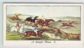24 A Steeple Chase 2